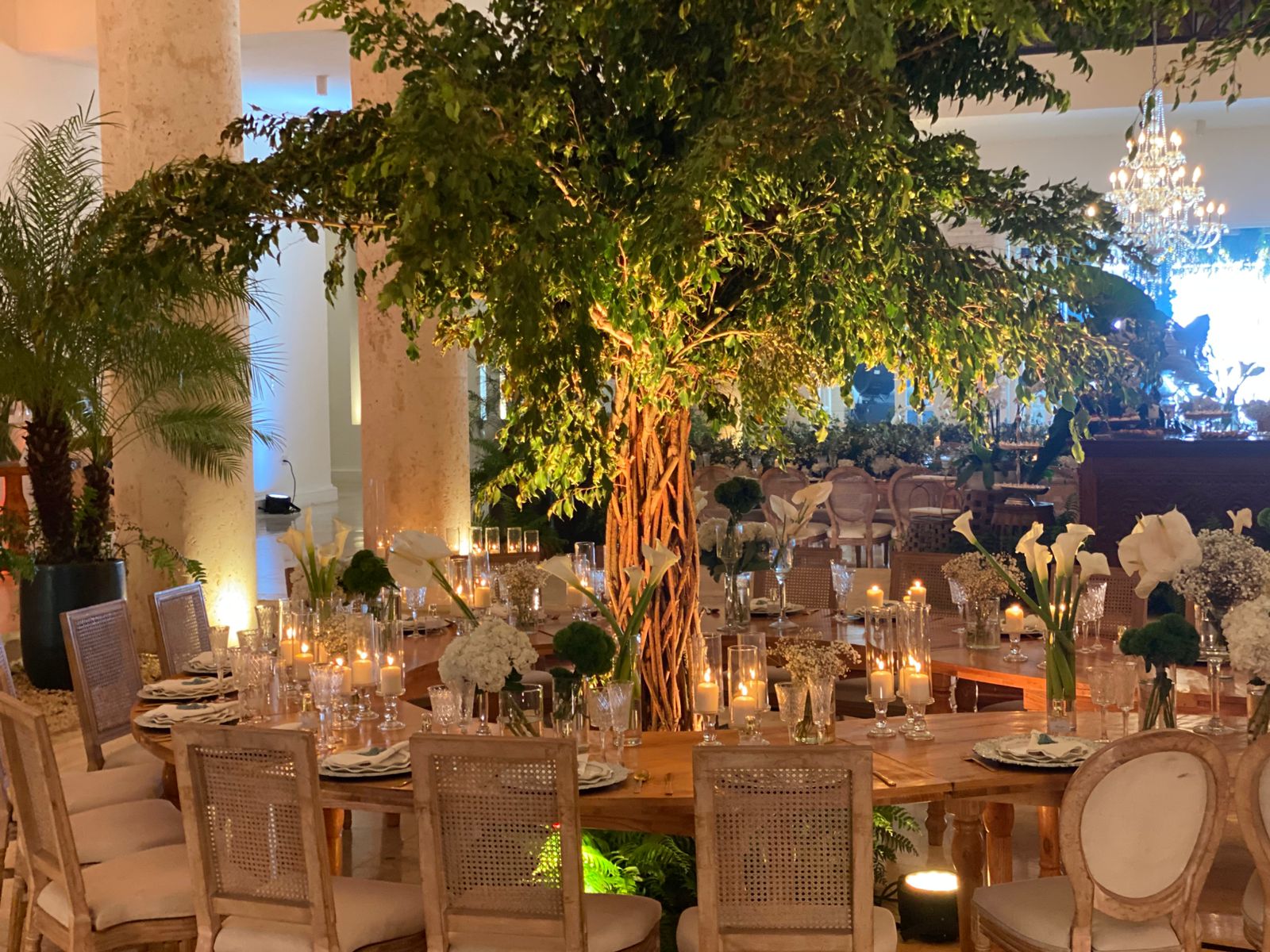 Wedding Planner - Joel Carela - Imagen 45